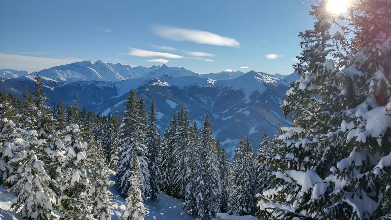 Apartment-Alpenfantasie ツェル アム ゼー エクステリア 写真